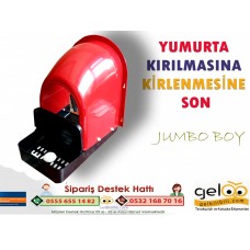 HOBİ TAVUK FOLLUK JUMBO BOY