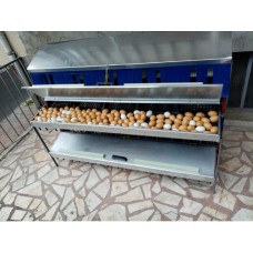 Tavuk folluk 10 göz geniş yumurta toplama haznesi