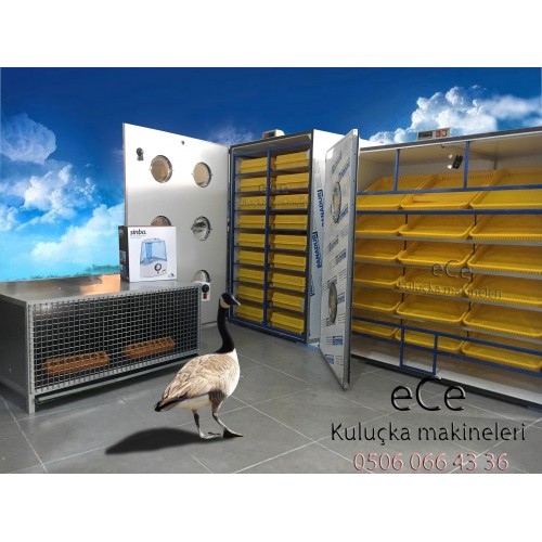 KAZ KULUÇKA MAKİNASI 750 GELİŞİM 750 ÇIKIM KOMBİNE 2YIL GARANTİ