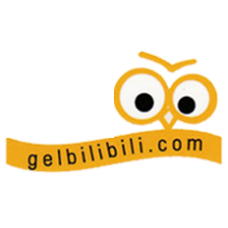 gelbilibili.com