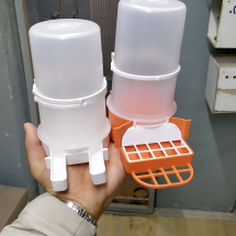 Bıldırcın keklik civciv tavşan yemliği suluğu